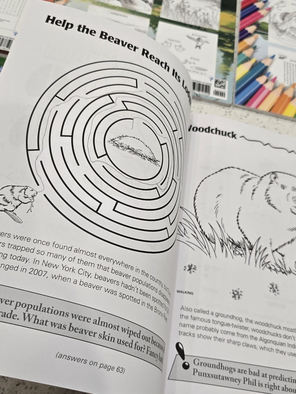 Hunt & Learn Coloring Book Collection - Picture 3 of 8